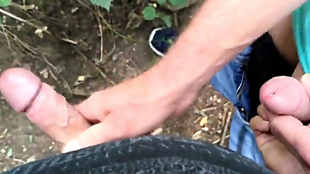 Helping hand in the park