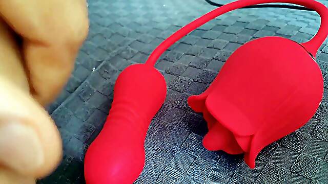 LETS PLAY WITH YOUR ROSE TOY TOGETHER