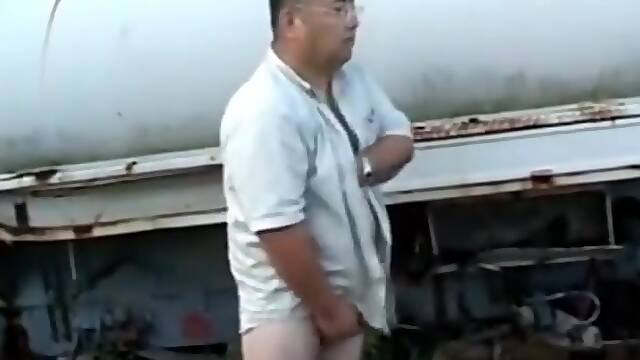 Japanese chubby bear solo