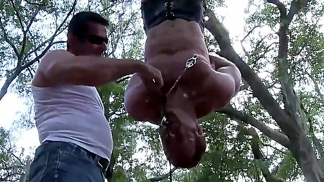 He is hanging upside down in the middle of the forest