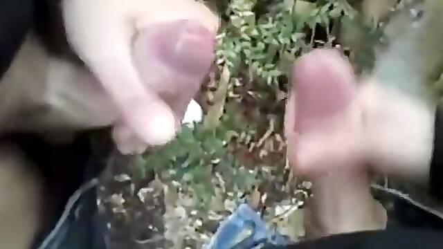 Two Friends Jerk Each Other Off in Public