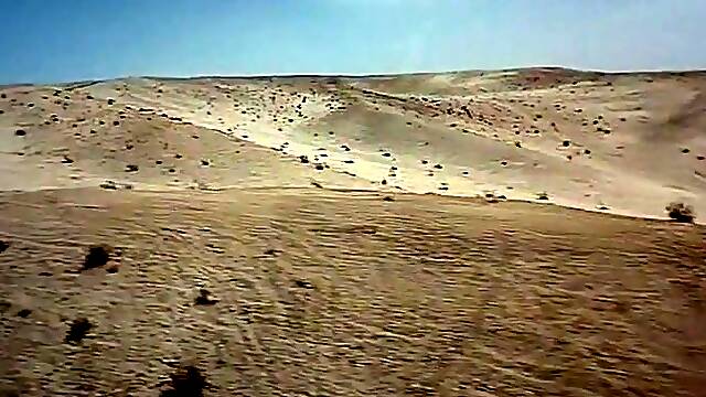 Ilsa, Harem Keeper of the Oil Sheiks