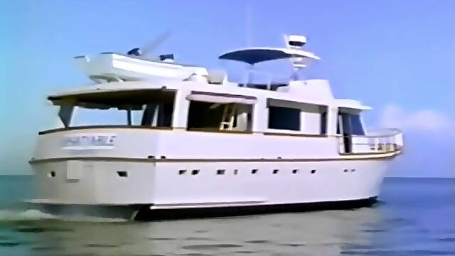 Birds In Paradise Vol 3