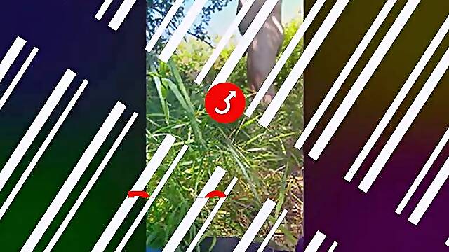 Naked Outdoor Cruising and Flashing