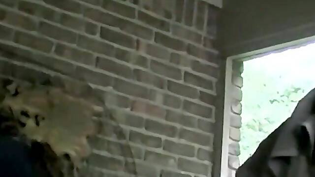 Fat amateur guy blows hairy cock and receives a big load