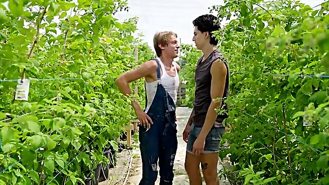 Farmer jocks take a time off and fuck in the field