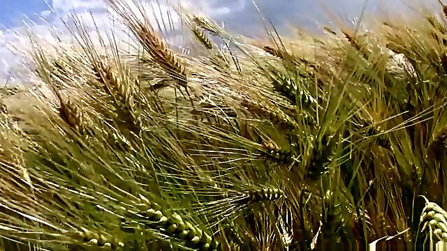 Young Workers - Bareback - EastBoys