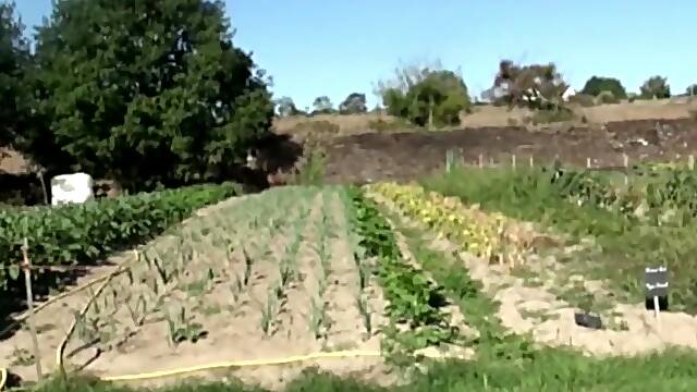 Arab fucked by twink in exhib garden - CrunchBoy