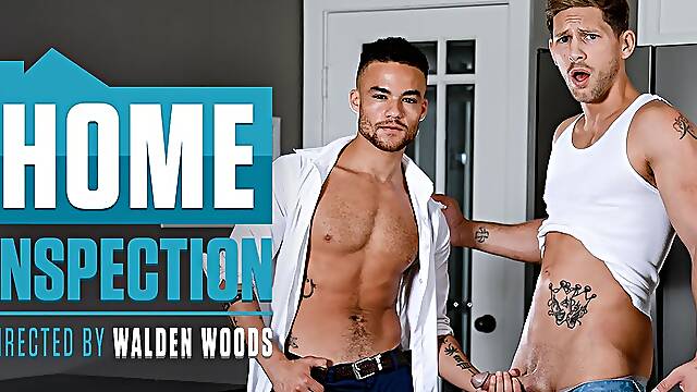 Roman Todd & Beaux Banks in Home Inspection