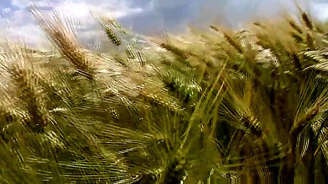 Luis Blava - Amateur Twinks - EastBoys