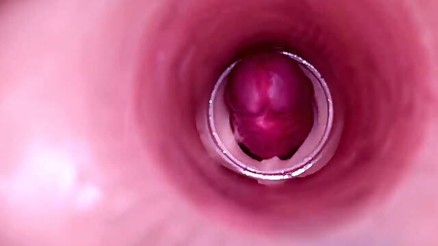 Female Insemination Internal Camera Captures Deep Male