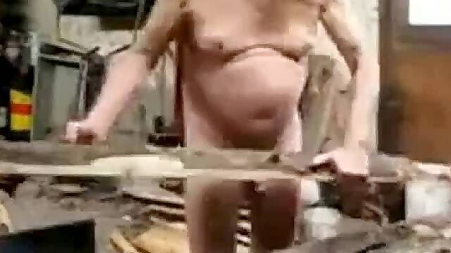 Silver Fox Strokes Wood at the Sawmill