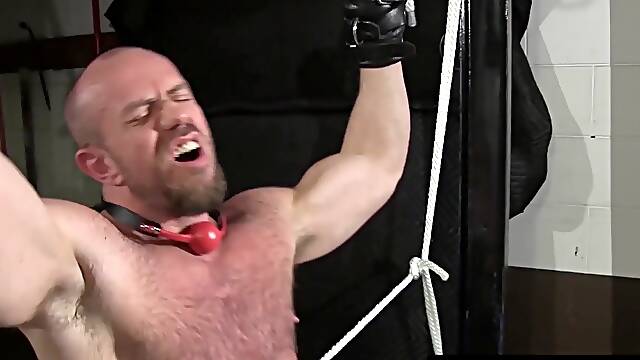 Bald muscle god bound and gagged for Masters use