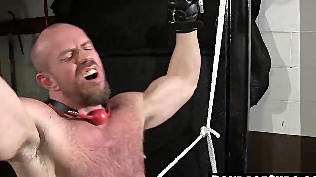 Bald dude bound and gagged for dominant masters pleasure