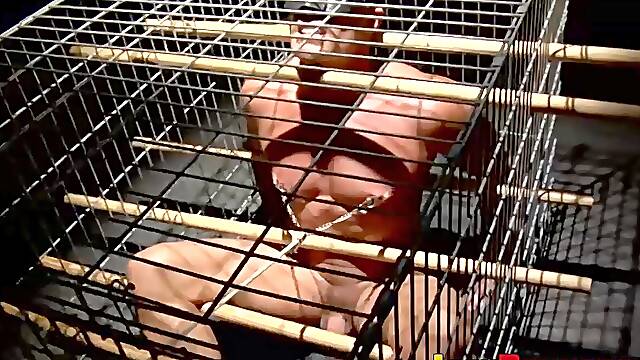 Kinky dude Tyler Saint is takes blindfolding while his nipples are tormented