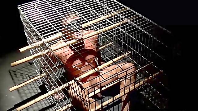 MuscleJockBound.com - Tyler Saint blindfolded with tormented nipples