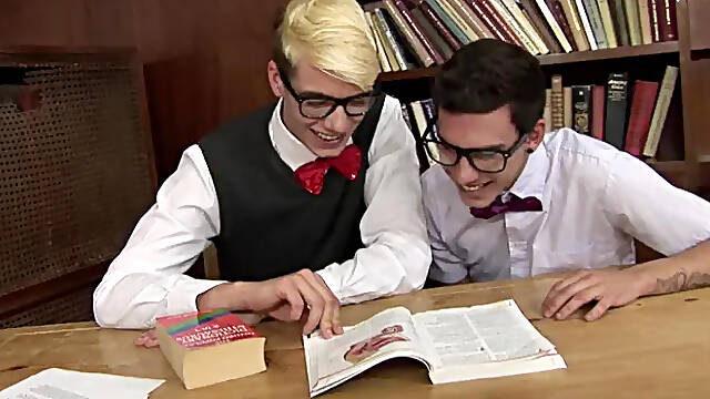 A Textbook Threesome for Twinks