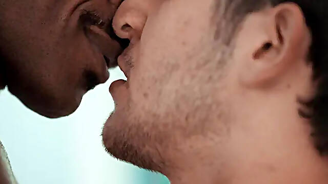 Men: A Thorough Exploration of Their Forms