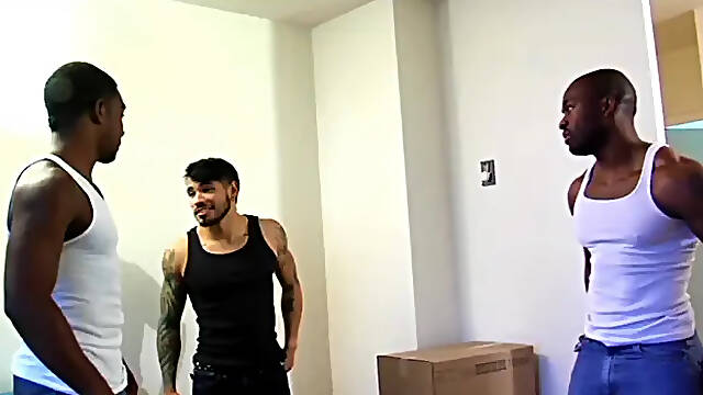 Next Door Studios: Movers Get Paid with Head Games