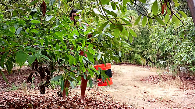 Next Door Originals: Dontes Massive Surprise