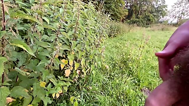 Morning pee those stinging nettles wanted me to pee on 'em