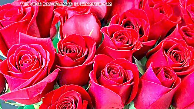 Devor bhabi molten choto golpo luxurious mature bhabi cuckold hasband and romances with devor full Bangla story