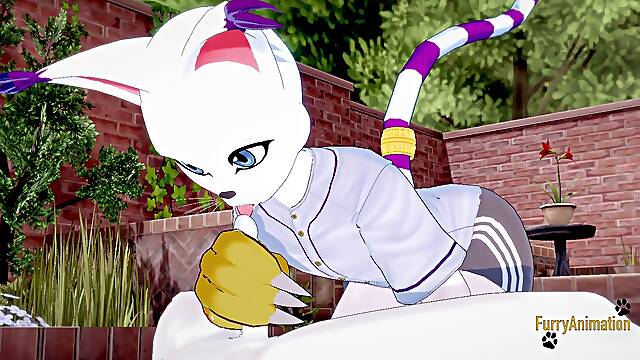 Digimon Pokemon fur covered Yaoi - Cinderace x Gatomon firm fucky-fucky