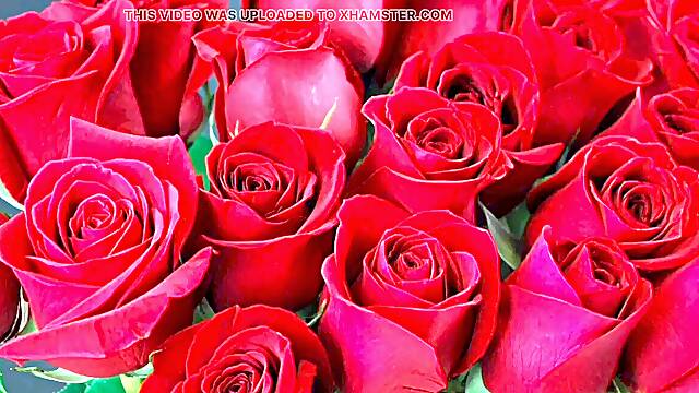 Bangla choto golpo cool mature saree chachi hotwife hasband full story in Bangla audio choto golpo Bangla choti full story