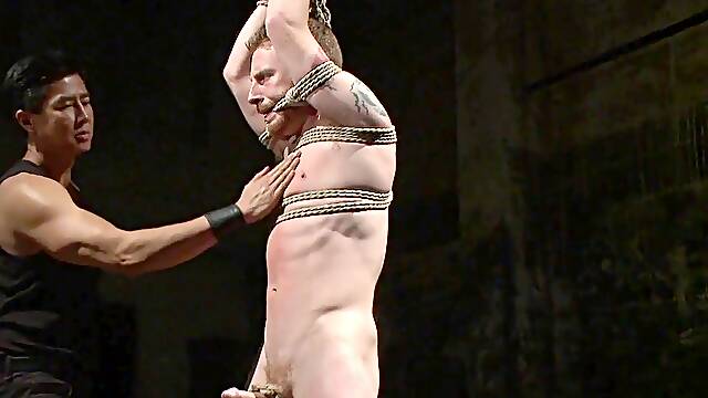 Did you ever try japanese Water Torment with and electric butt plug pushed up your booty?