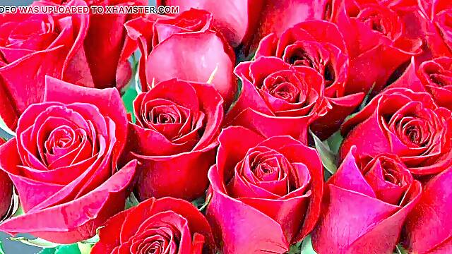 Bangla choto golpo cool mature saree chachi hotwife hasband full story in Bangla audio choto golpo Bangla choti full story