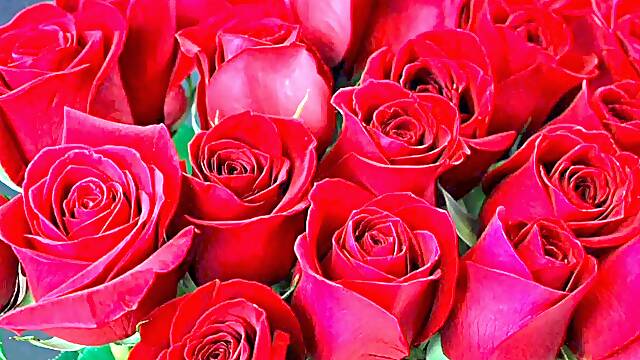 Bangla choto golpo beautiful mature saree chachi cuckold hasband full story in Bangla audio choto golpo fresh full Bangla choti