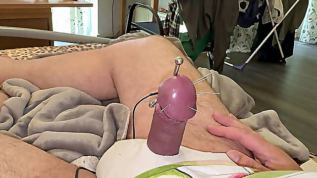 Needles and nut nectar