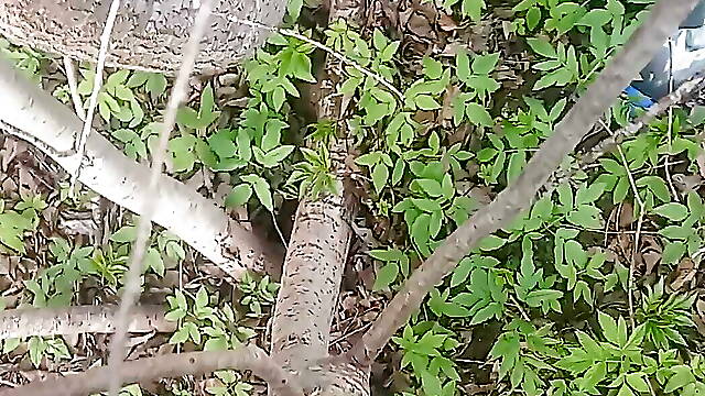 Fat guy cumshot no hands