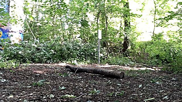 Strip at the old bridge