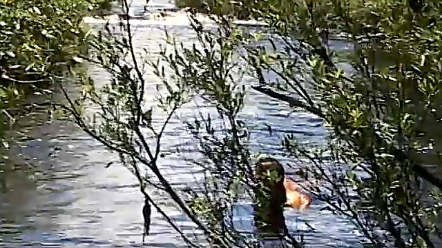 Twink slurps a mean dick on sofabed then fucks