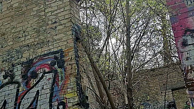 Guy andkvcat in the woods on a dildo