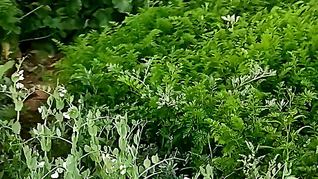 Turkish gay fuck video 