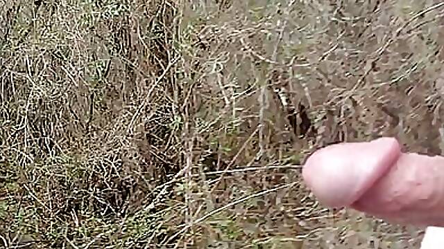 Walking down an old road.