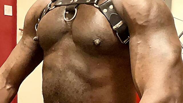 Black Hot Mature Muscle Harness &amp; Jock Flex Wank
