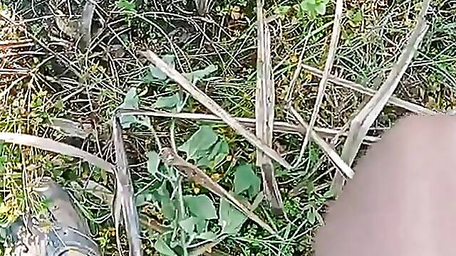 Sugarcane is farmer gay hand job