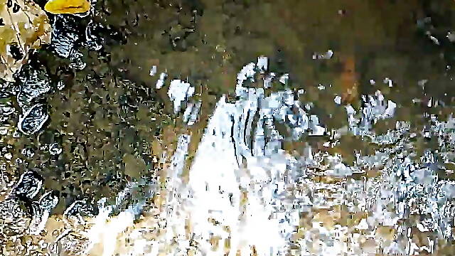 Indian hot cock preparation by harmit