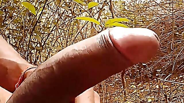Indian man harmit fucking her huge cock in the jungle