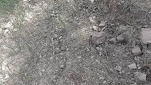 Penis ejeculation in tunnel