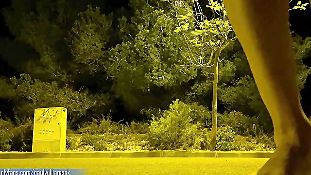 Crazy naked walk at night. Risky public nudity