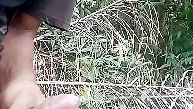 My garden has a lot of sperm spilled here