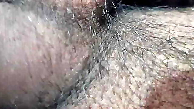 My penis land