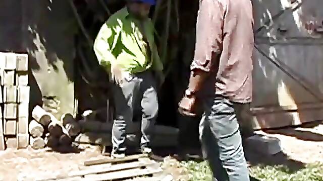 Gorillas in Outdoor Fetish Fuck