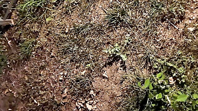 Nice Handjob in the Garden and Lots of Cum