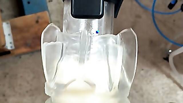 Cock milking F21s 50 LPM Pump L80 Pulsator