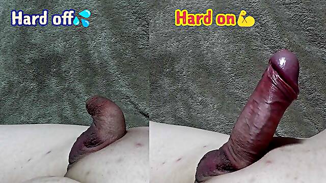 Until a small penis gets a very big erection